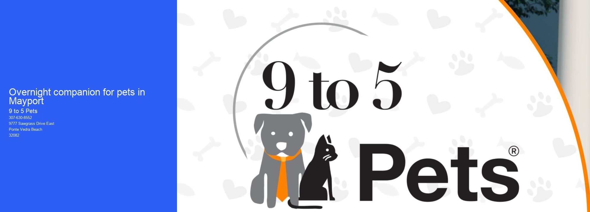 Overnight companion for pets in Mayport