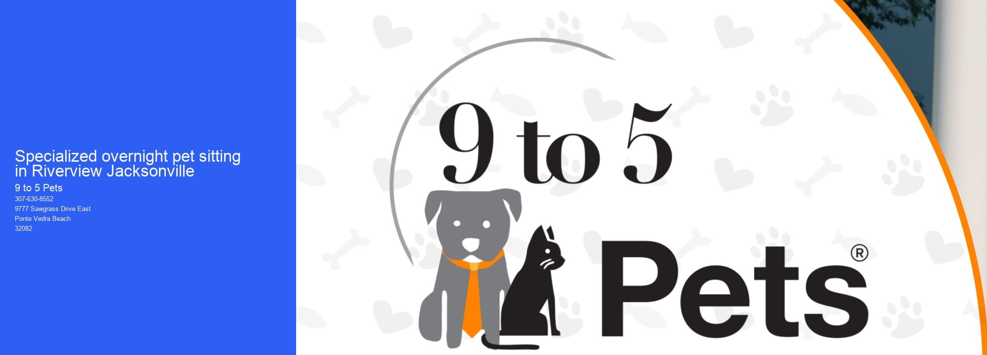 Specialized overnight pet sitting in Riverview Jacksonville